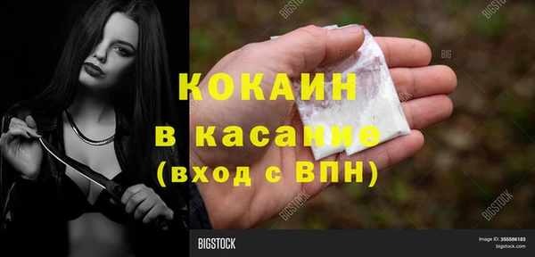 бошки Белокуриха