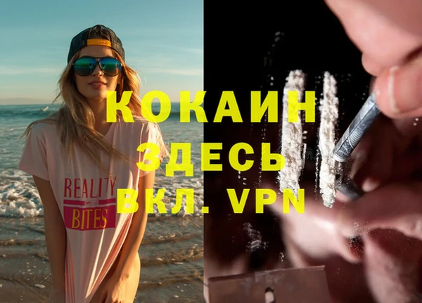 бошки Белокуриха