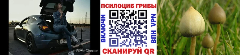darknet формула  Кола  Галлюциногенные грибы GOLDEN TEACHER 